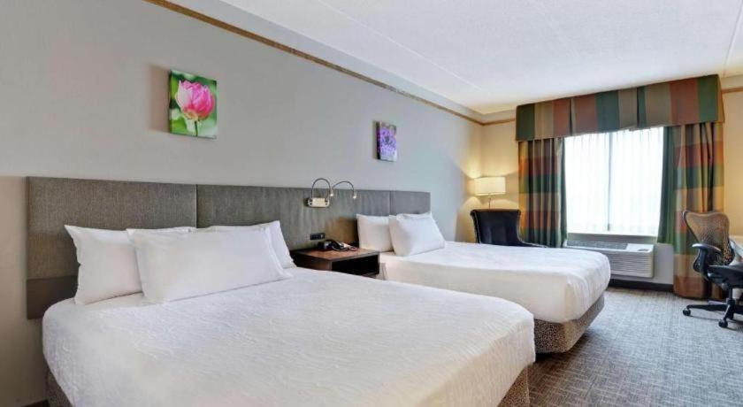 Hilton Garden Inn Appleton/Kimberly Eksteriør bilde